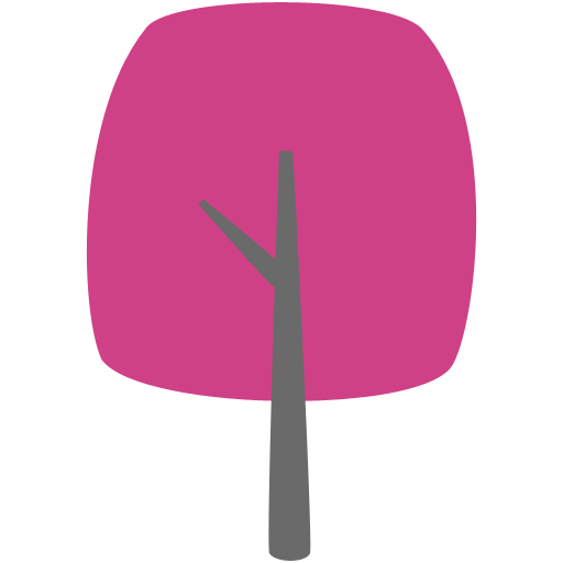 Why choose Adventure Playschool