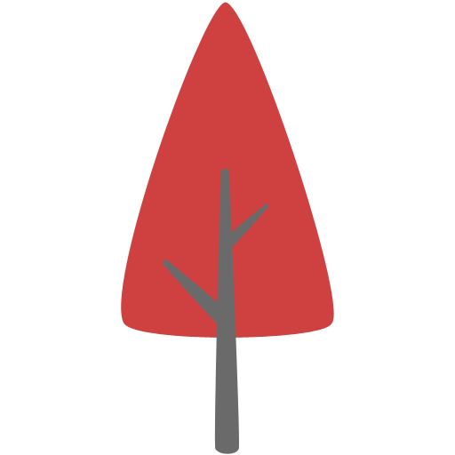 What is a forest playschool?